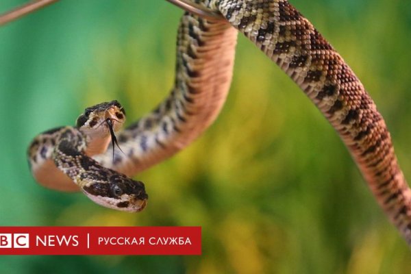 Кракен продажа наркотиков
