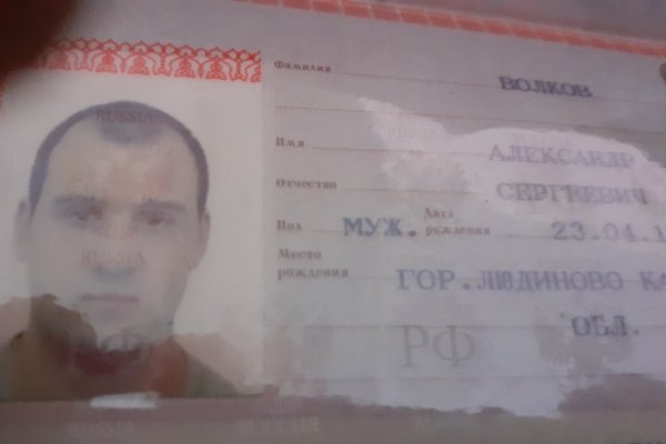 Кракен нарколог